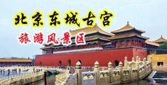 丝袜美腿美女老师被操射逼视屏中国北京-东城古宫旅游风景区